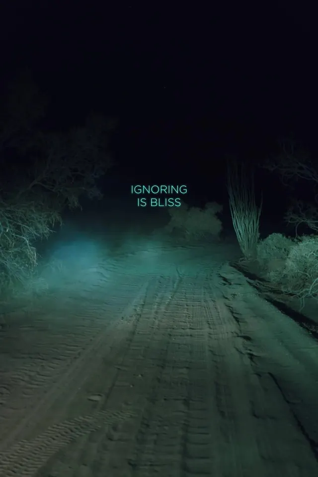 Ignoring is Bliss Poster