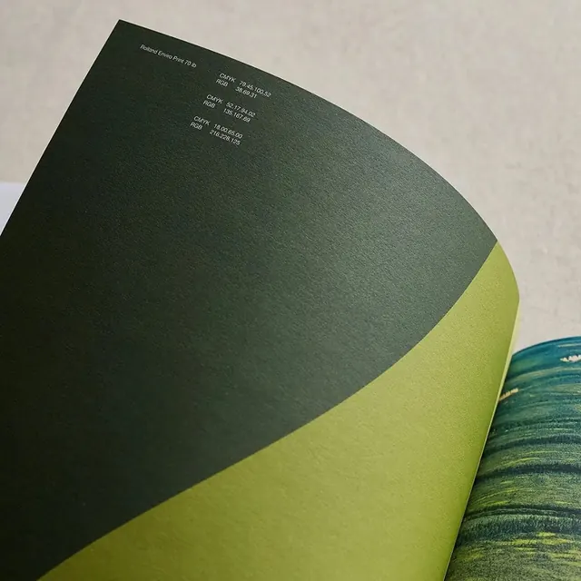 Green paper swatch specimen, minimal, editorial, muted