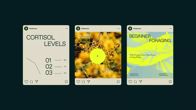 Three-panel social card system with data, photo, and event poster treatments, minimal, editorial, dark