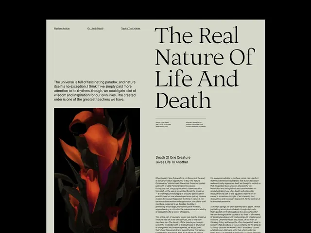 Editorial minimal editorial spread, editorial, minimal, light