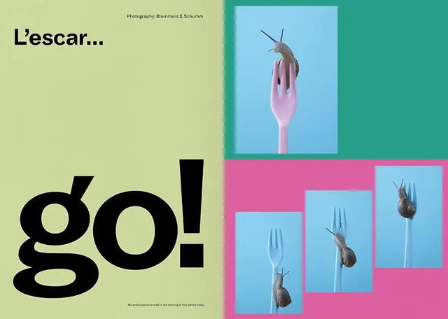 Editorial layout with snails and typography, playful, maximalist, vibrant