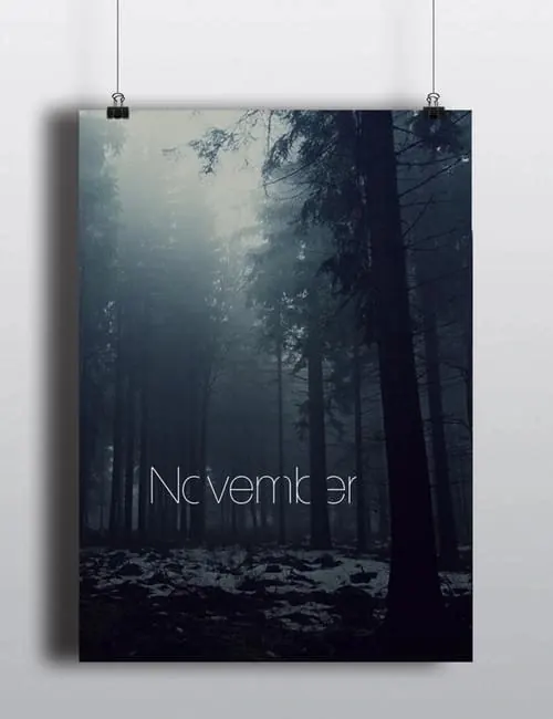 November Forest Poster