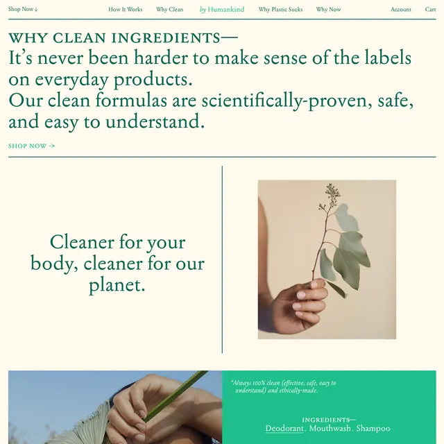 Minimal organic editorial spread, minimal, organic, light