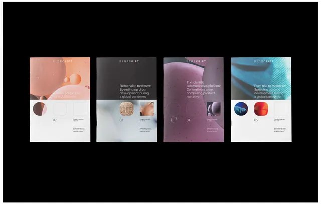 Minimal organic editorial spread, minimal, organic, light