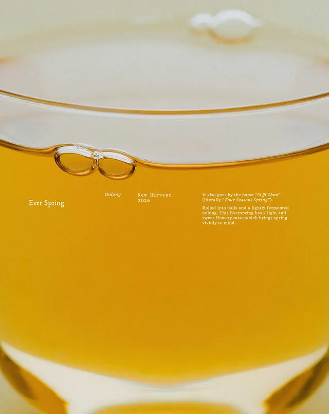 Minimal organic editorial spread, minimal, organic, warm