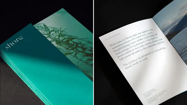 Minimal organic editorial spread, minimal, organic, cool