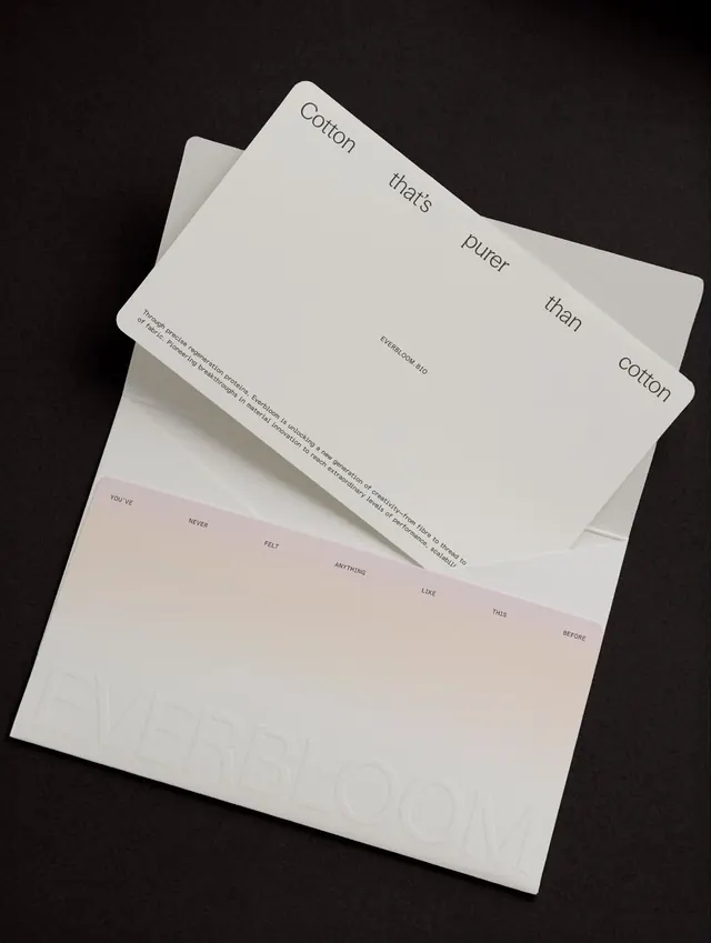 Minimal luxury editorial spread, minimal, luxury, light
