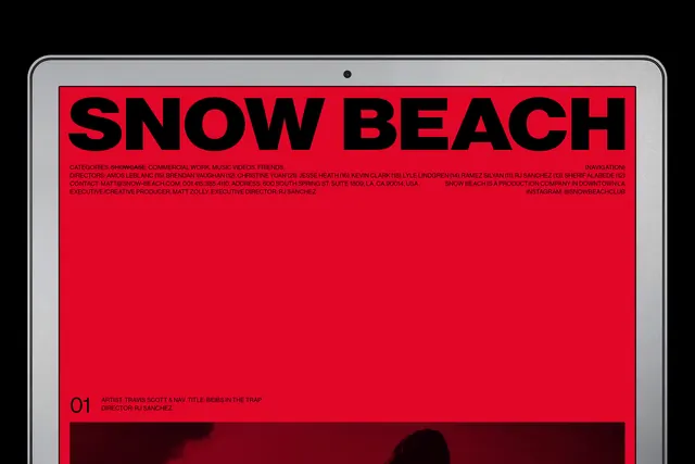 Snow Beach Identity Layout