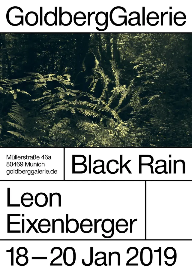 Goldberg Galerie Exhibition Poster