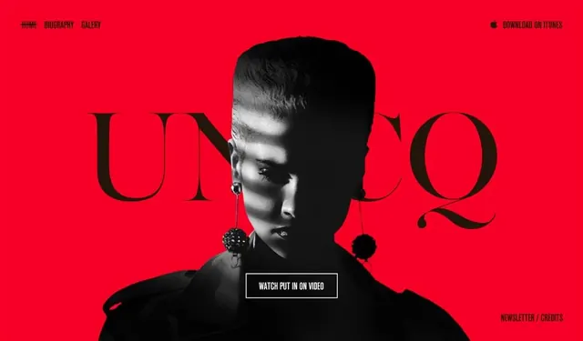 Unico Branding Visual
