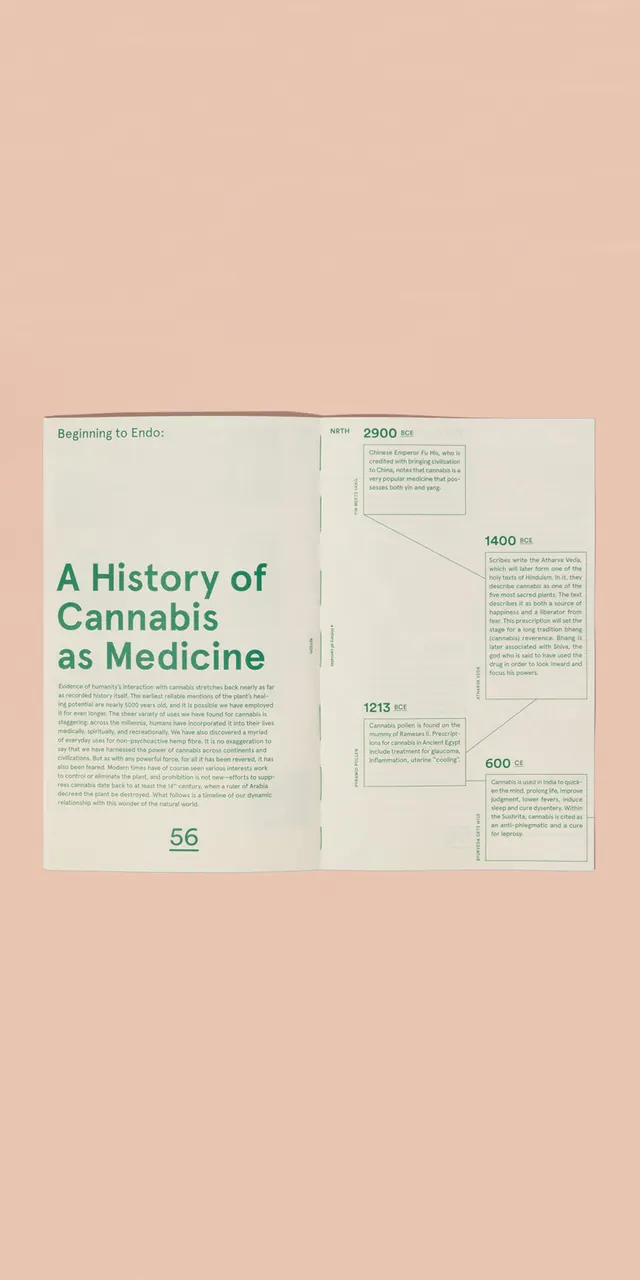 Minimal editorial type specimen, minimal, editorial, light