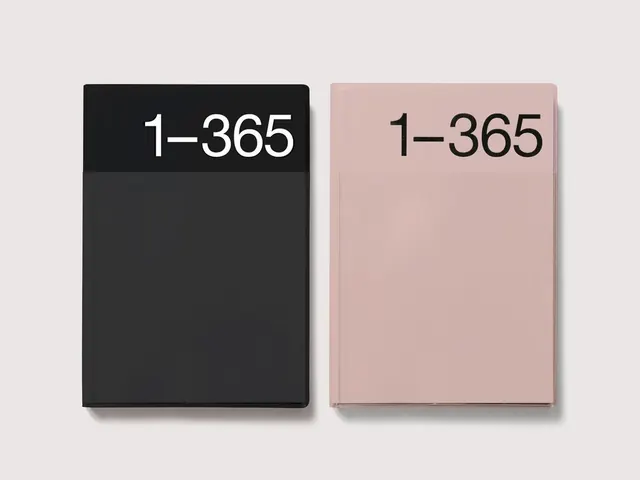 1-365 minimalist journal pair, minimal, swiss, muted