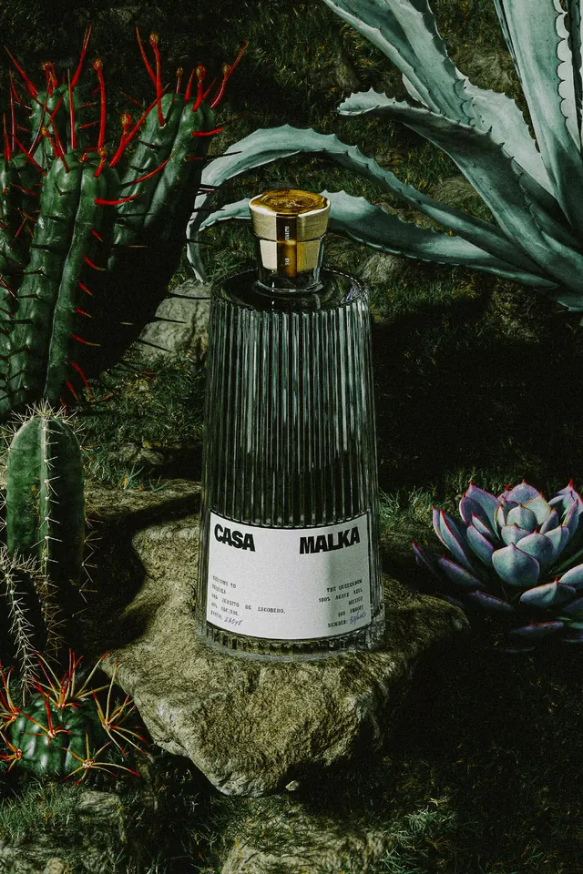 Casa Malka tequila bottle in desert flora, photographic, luxury, dark