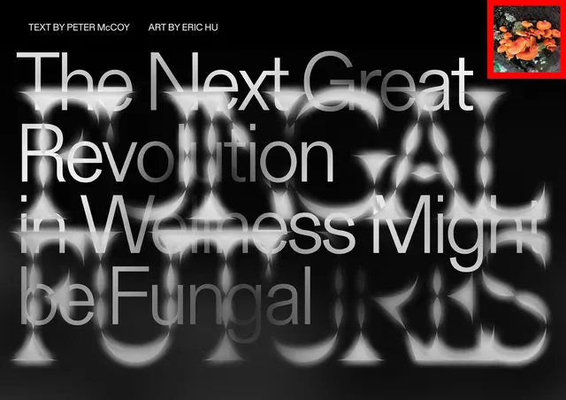Fungal Futures editorial spread, editorial, abstract, dark