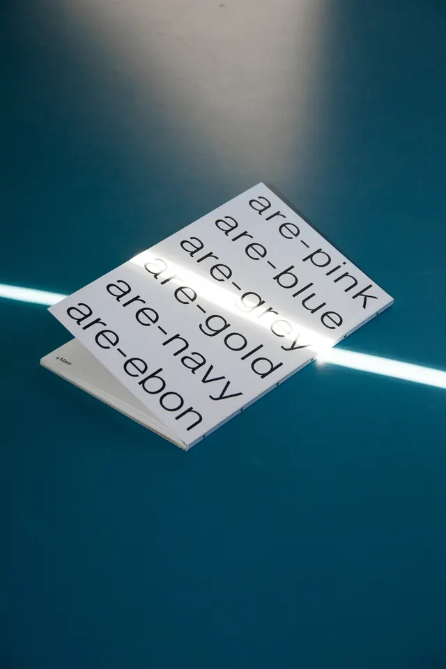 Cowboys color list publication, minimal, editorial, cool
