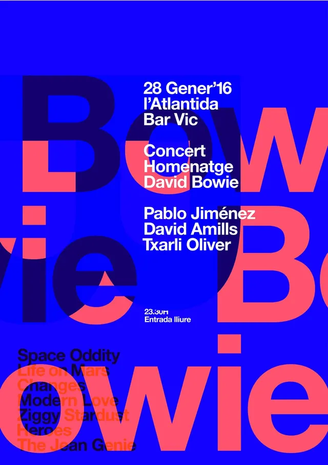Concert Poster Design