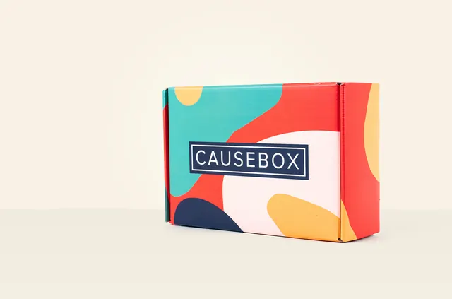 Causebox colorful subscription box, minimal, playful, vibrant