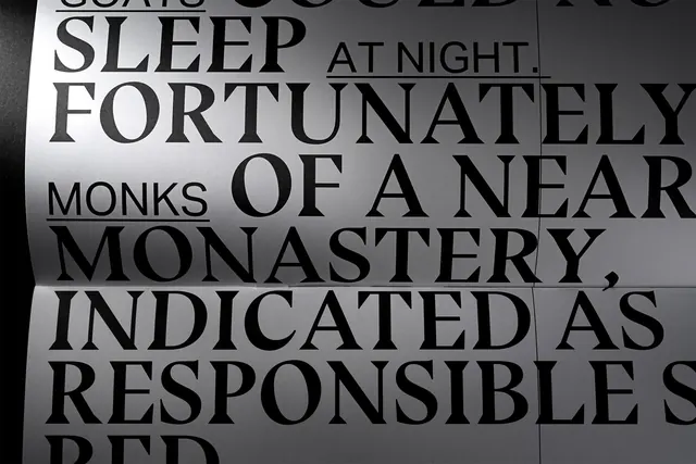 Large scale typographic print editorial, editorial, minimal, light