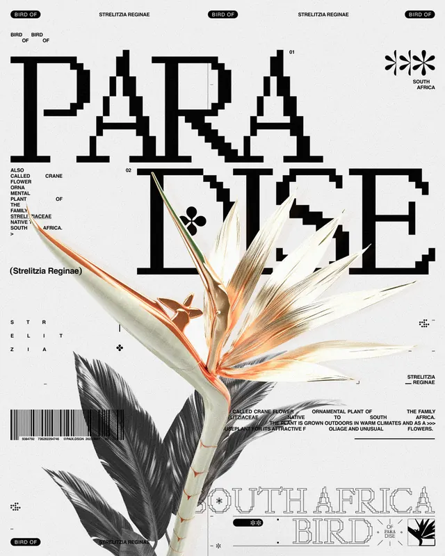 Paradise Magazine Editorial Spread