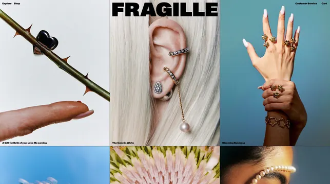 Fragille Jewelry Editorial Spread