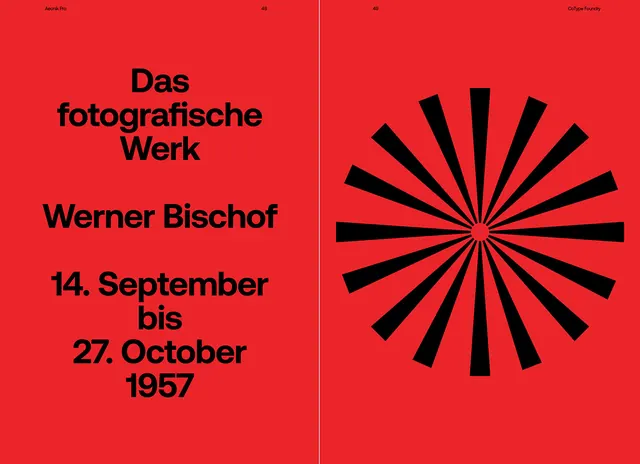 Werner Bischof Exhibition Poster