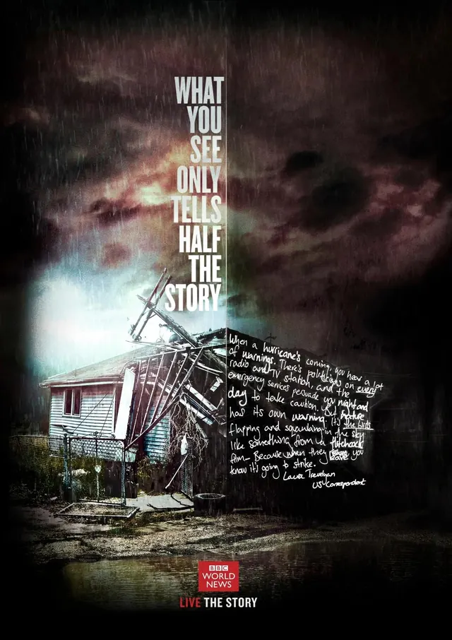 The Story - Editorial Poster