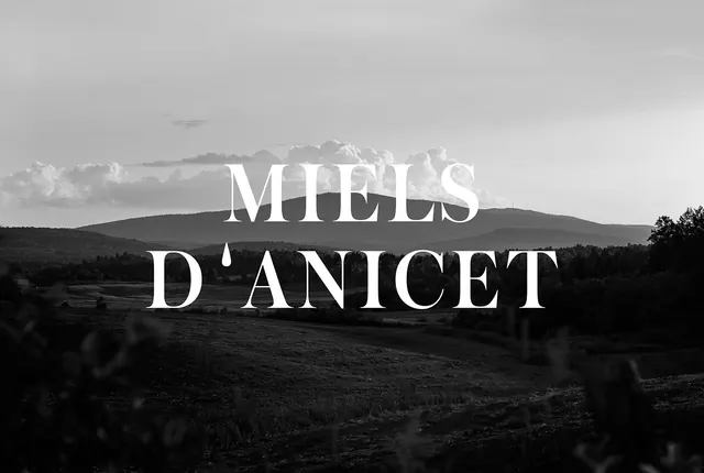 Miels D'Anicet Typography Overlay, minimal, monochrome, monochrome