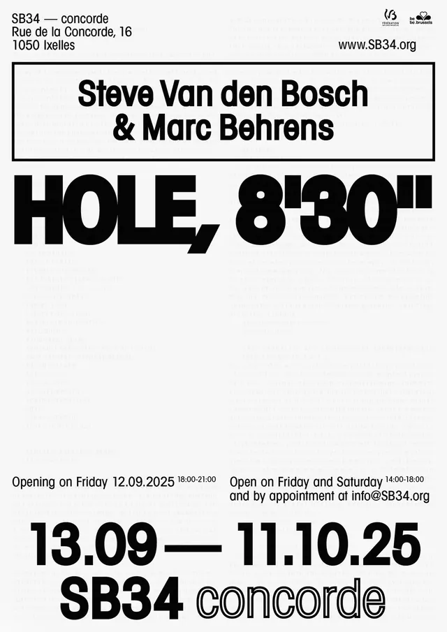 Event Poster for Steve Van den Bosch & Marc Behrens
