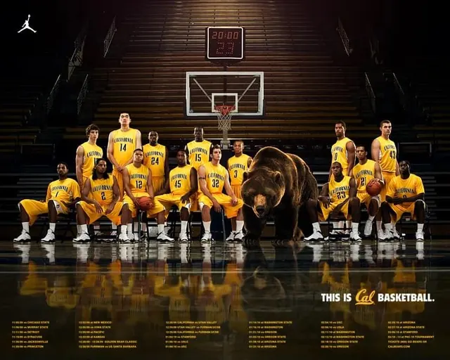 Basketball Team Promotional Graphic