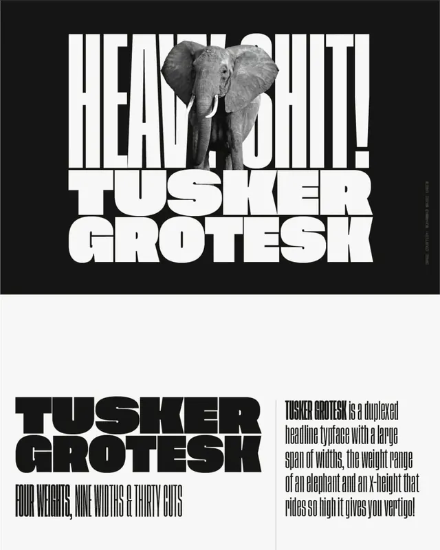 Brutalist editorial editorial spread, brutalist, editorial, dark