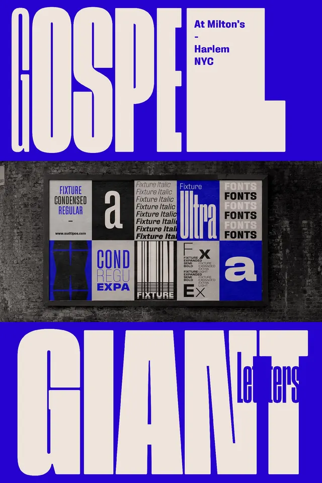 Geometric swiss type specimen, geometric, swiss, light