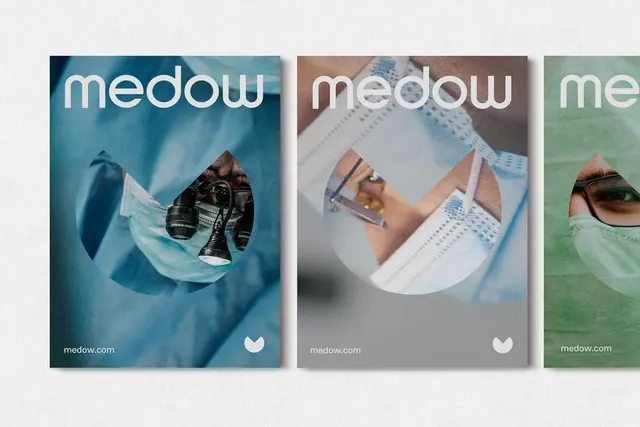 Minimal editorial editorial spread, minimal, editorial, cool