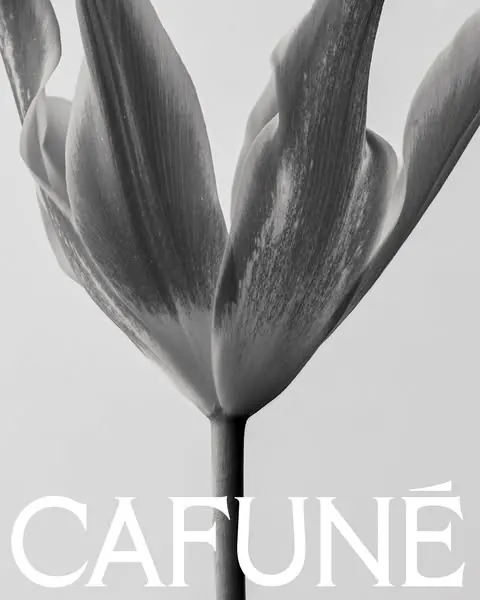 CAFUNÉ tulip serif poster, editorial, minimal, monochrome