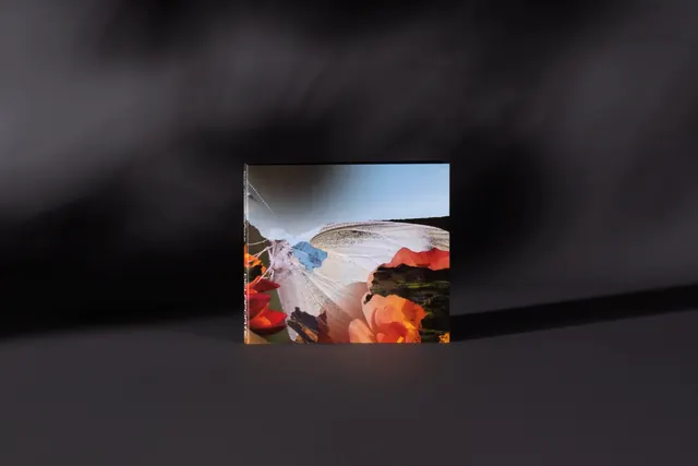 Delaporte album cover on dark surface, editorial, photographic, dark