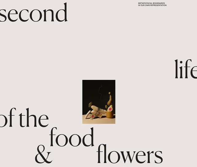 Editorial Typography Layout