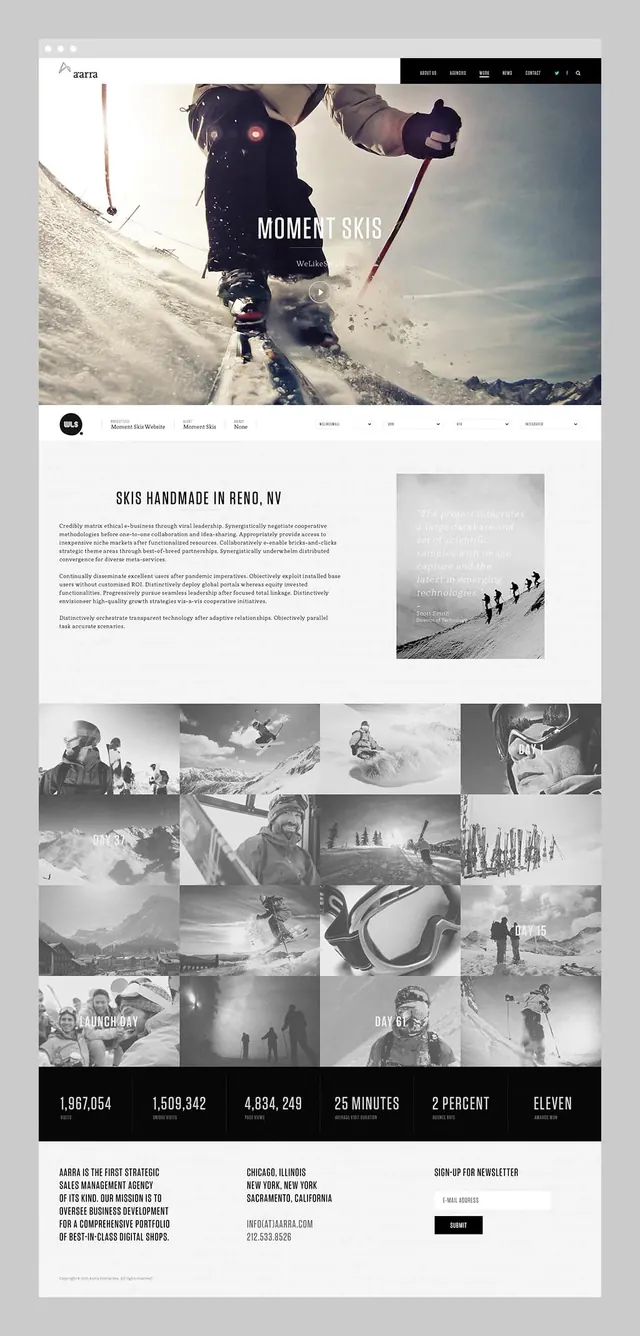 Corporate Portfolio Layout