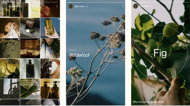 Minimal organic editorial spread, minimal, organic, light