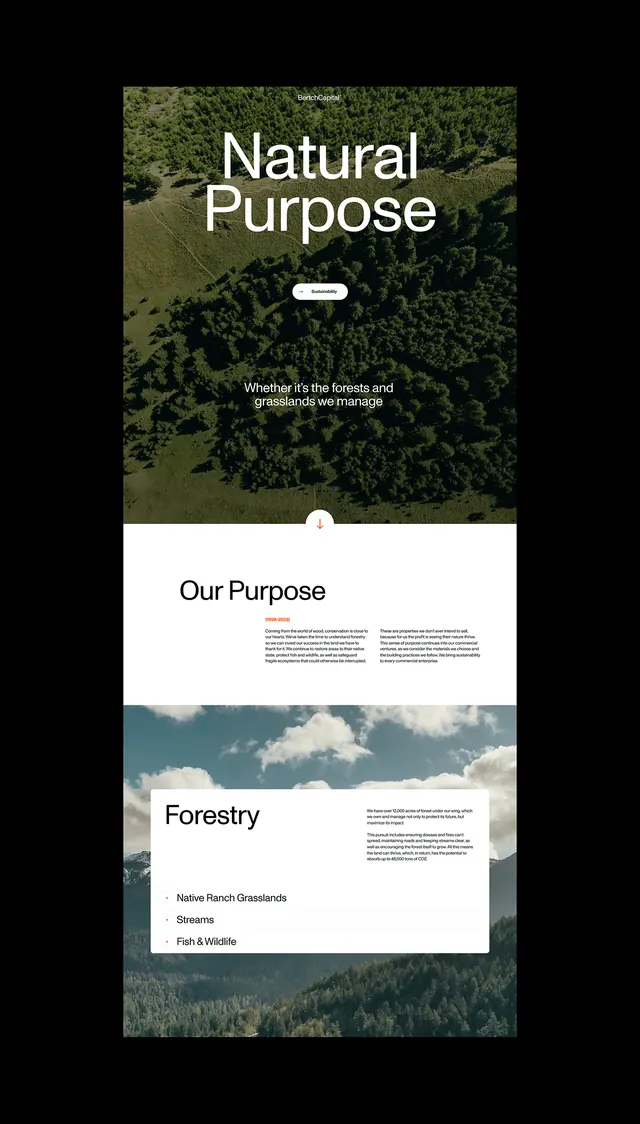 Minimal organic type specimen, minimal, organic, light