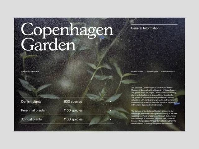 Minimal organic type specimen, minimal, organic, light