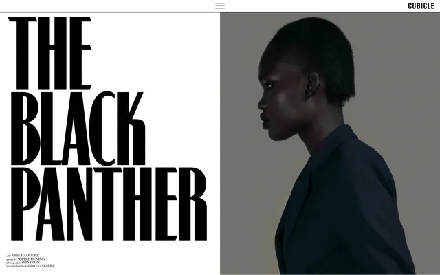 The Black Panther Poster