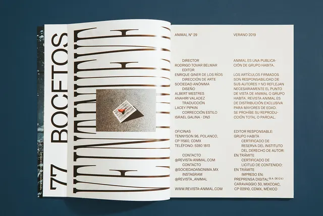 Revista Animal magazine spread, editorial, geometric, light
