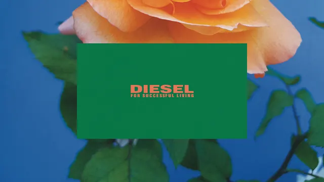Diesel brand poster with rose and typography, photographic, editorial, vibrant