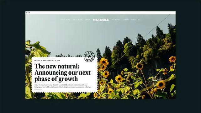 Minimal editorial editorial spread, minimal, editorial, dark