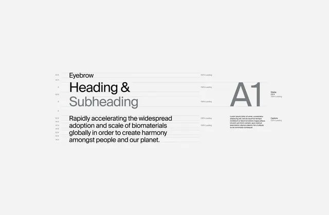 Minimal type specimen, minimal, light