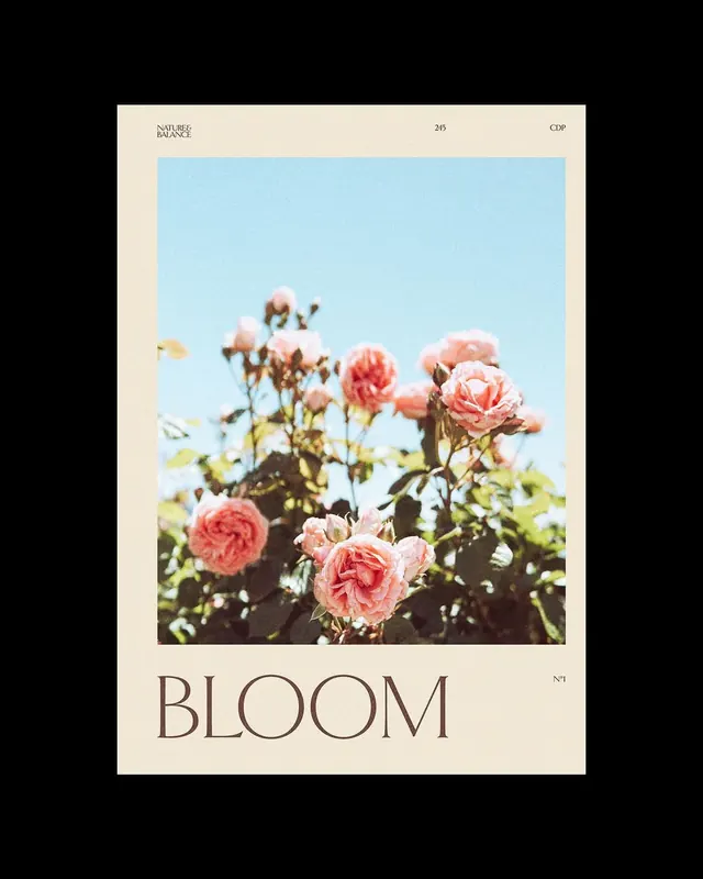 Bloom Editorial Layout