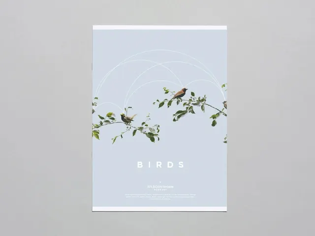 Birds Editorial Poster