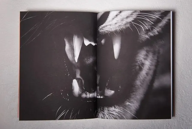 Monochrome Animal Portrait Spread