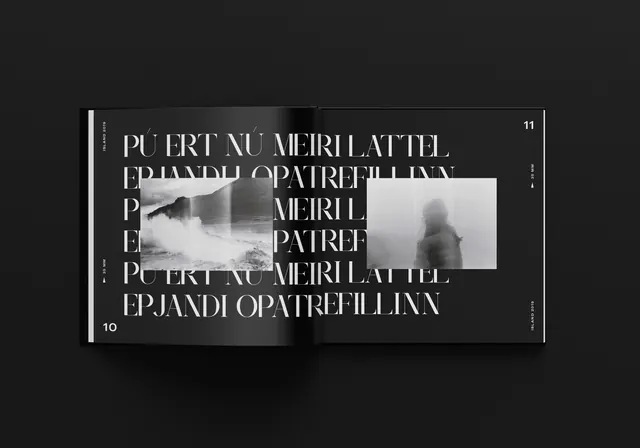 Typography and Portrait Composition, minimal, swiss, monochrome