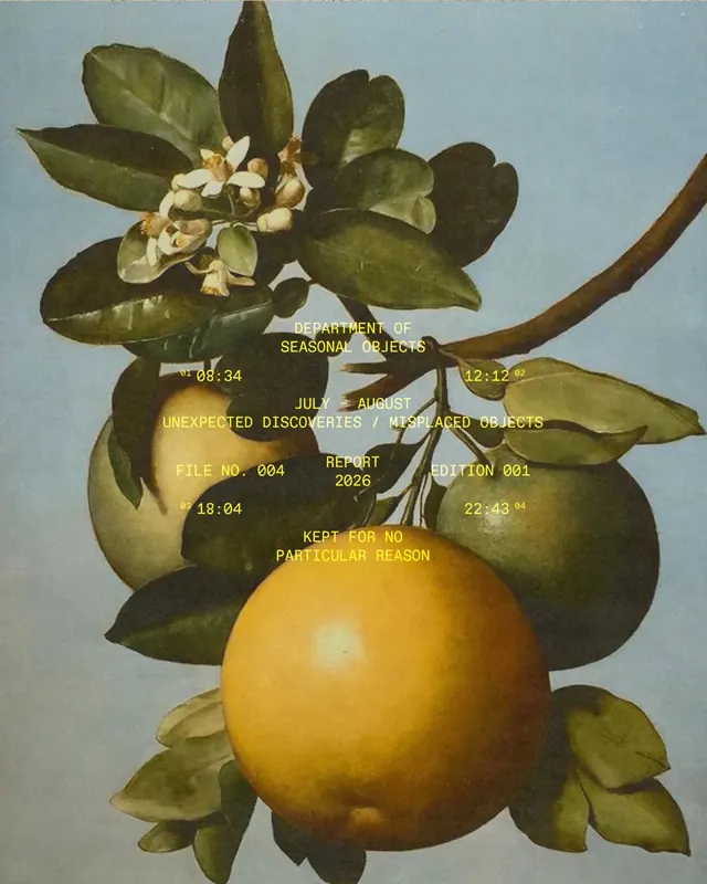 Synonime Studio archive of poster, typography, and publication design (slide 3)