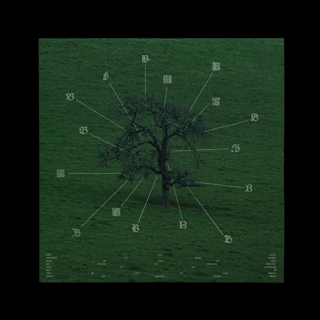 Medieval mystique album design (slide 7)
